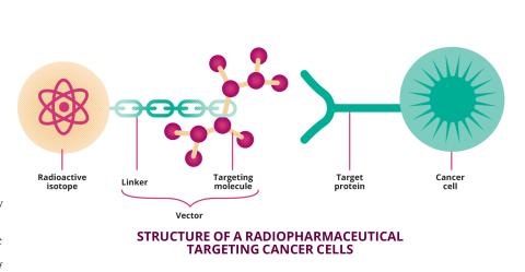 Structure of a radiopharmaceutical targeting cancer cells.