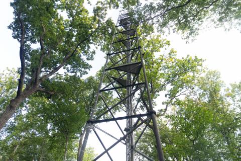 La station de recherche forestière de Barbeau.