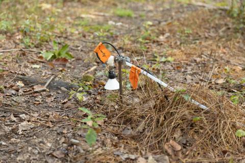 La station de recherche forestière de Barbeau.