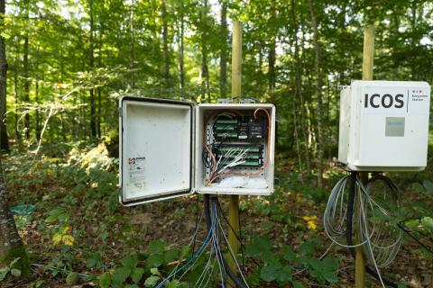 La station de recherche forestière de Barbeau