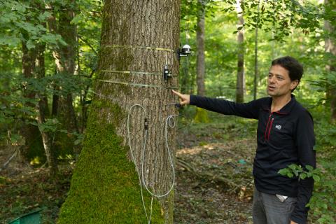 La station de recherche forestière de Barbeau