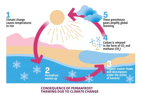 Consequence of permafrost thawing due to climat change.