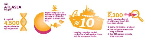 Some figures about the ATLASea programme