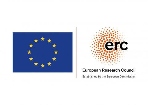 WEBINAIRE - Session d'information ERC Consolidator Grant 2027 (15-16/06/2026)